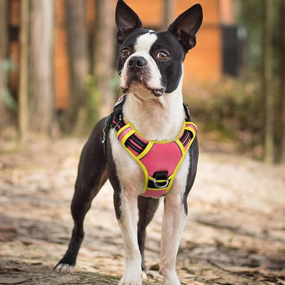 rabbitgoo Dog Harness Small Sized, No Pull Dog Vest with 3 Buckles, Adjustable Soft Padded Pet Harness with Easy Control Handle and Reflective Strips, Pink & Yellow, S