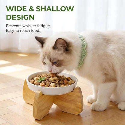 Raised Cat Bowls, 6.3'' Flat & Slow Feeder Bowl, Wide Ceramic Elevated Shallow Slow Eating Cat Bowl for Dry/Wet Food, Anti-Vomiting Pet Puzzle Feeder, Whisker Friendly, Dishwasher Safe (2 Pack)