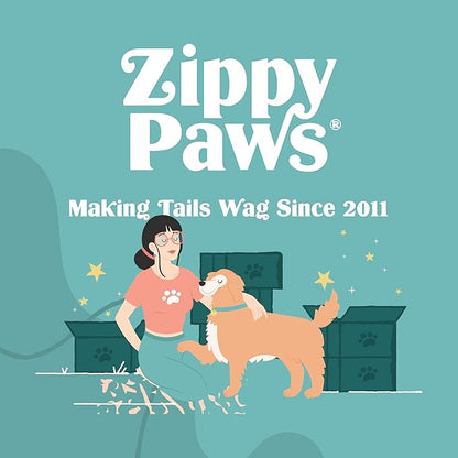 ZippyPaws Loopy - No Stuffing Dog Toys to Keep Them Busy, for Small, Medium, & Large Dogs, Squeaky Pet Toy for Boredom, Unstuffed Chew Toy, Soft Plush Puppy Products, Sheep - 10"