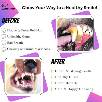 Durable Dog Bone Chew Toy for Small Breeds, Squeaky, Puppy Chew Bone, Supports Dental Health & Teething Relief, 4.5”, Pack of 3 for Small to Medium Dogs