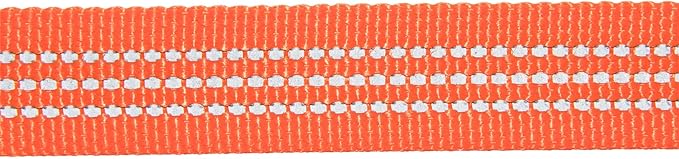 Carhartt Pet Durable Nylon Webbing Leashes for Dogs, Reflective Stitching for Visibility, Hunter Orange (Nylon Webbing), Large