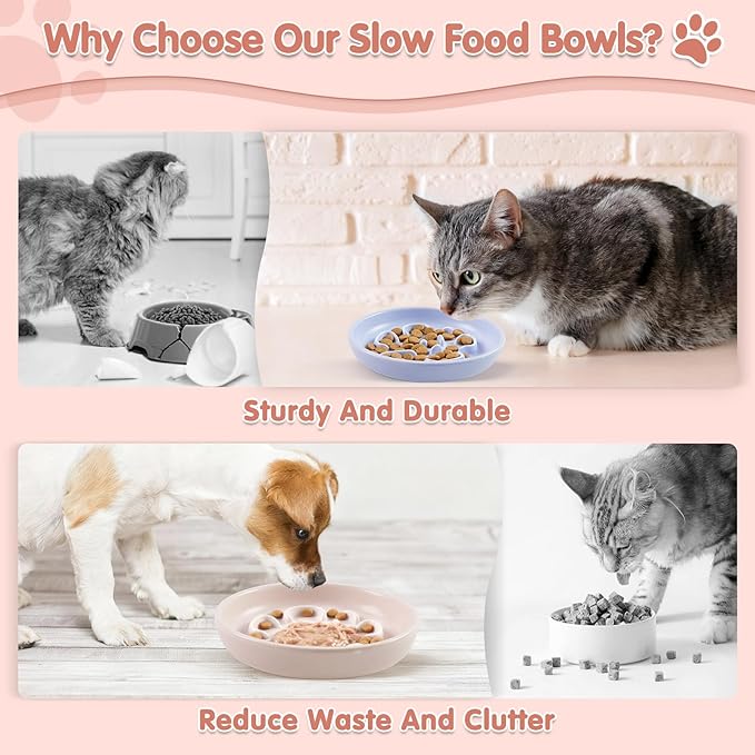 Cat Slow Feeder Bowl Set - 2 Pcs Pastel Series Cat Plate for Dry and Wet Food - Cute Maze Feeder Dish for Healthy Eating- Slow Feeding Bowls Whisker Friendly - Dishwasher Safe(Blue and Pink)