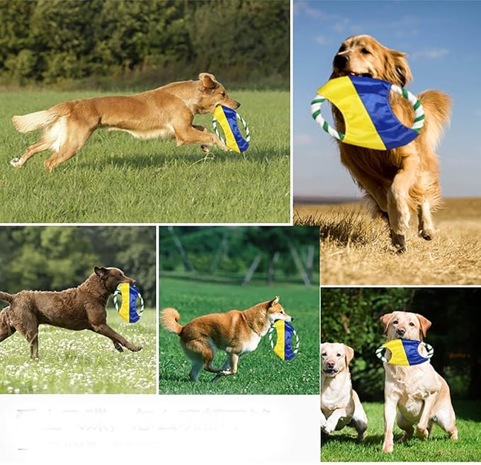Dog Toys Flying Disc Rope Toy Chew Toys 2 Pack for Dogs Flying Discs Training Cotton Rope-Dog Toy Pack Set DT1-2P Footprint