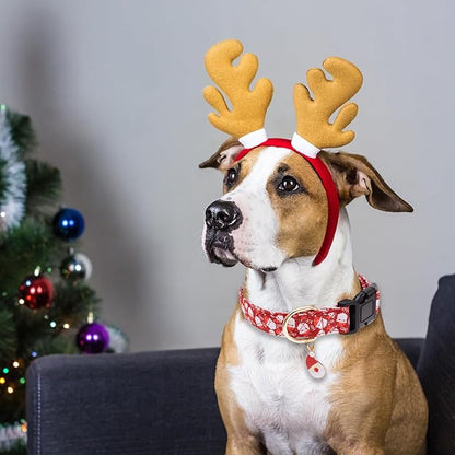 Faygarsle Red Dog Collar Christmas Design Santa Claus Pattern for Small Medium Large Dogs Collar Cute Stylish Girl Boy Christmas Dog Collar M