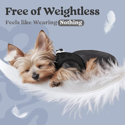 rabbitgoo Small Dog Harness, Step-in Soft Mesh Puppy Vest with Safety Buckle, Breathable Reflective Pet Harness for Small Medium Dogs, Black XL
