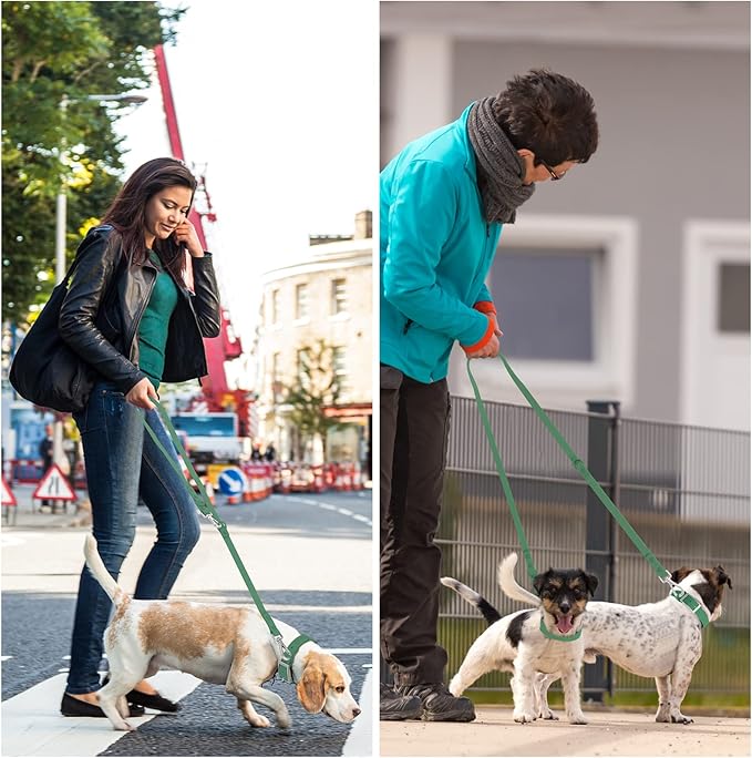 Wisedog Waterproof Dog Leash – 5ft/6ft Adjustable with 2 Metal Swivel Hooks, Easy to Clean Dog Leashes for Small, Medium, Large Breed Dogs (Pine Green S)