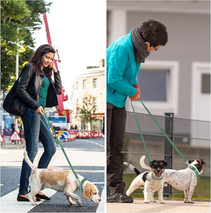 Wisedog Waterproof Dog Leash – 5ft/6ft Adjustable with 2 Metal Swivel Hooks, Easy to Clean Dog Leashes for Small, Medium, Large Breed Dogs (Pine Green S)