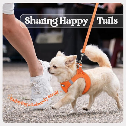 rabbitgoo Dog Harness Small Sized and Leash Set, Step in Soft Light Puppy Vest, Breathable Mesh Pet Harness, Reflective for Safe Easy Walking, Orange XS