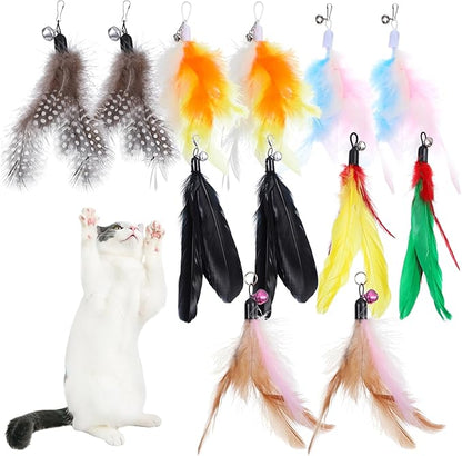 12 Pack Cat Wand Refill Cat Feather Toys Refills with Bells Feathers Toy Natural Feather Replacement for Exercise Play Vibrant Wand Attachments Safe Cats Toy Accessories for Bored Indoor