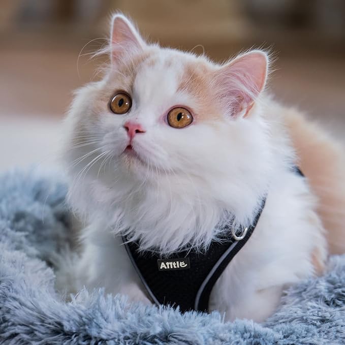 AIITLE Dog Harness, No-Pull Cat Harness with a Leash, Adjustable Reflective Dog Vest, Cat Harness Escape Proof, Outdoor Walking, Running,Training for Extra Small Dogs and House Cats Black XXXS