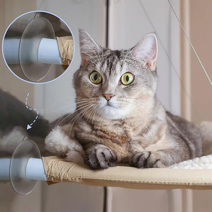 Tondiamo 8 Pcs Cat Window Perch Suction Cups, Powerful Window Bed Replacement Suction Cup for Cat Hammocks Window Seat Supplies, 2 Styles(Vivid Style)