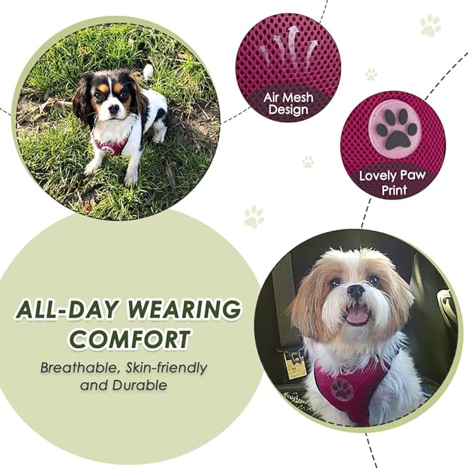 Lukovee Dog Seat Belt for Car, Adjustable Dog Car Harness for Large Medium Small Dogs, Soft Padded & Breathable Mesh Dog Seatbelt with Car Strap and Carabiner (Rose,M)