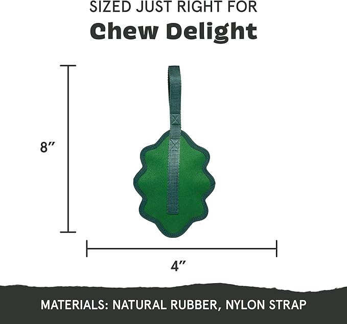 Barkbox Green Chew Leaf Dog Toy for Small Dogs – 2-in-1 Design with Mixed Textures and Surprises, Perfect for Tough Chewing and Playful Pups