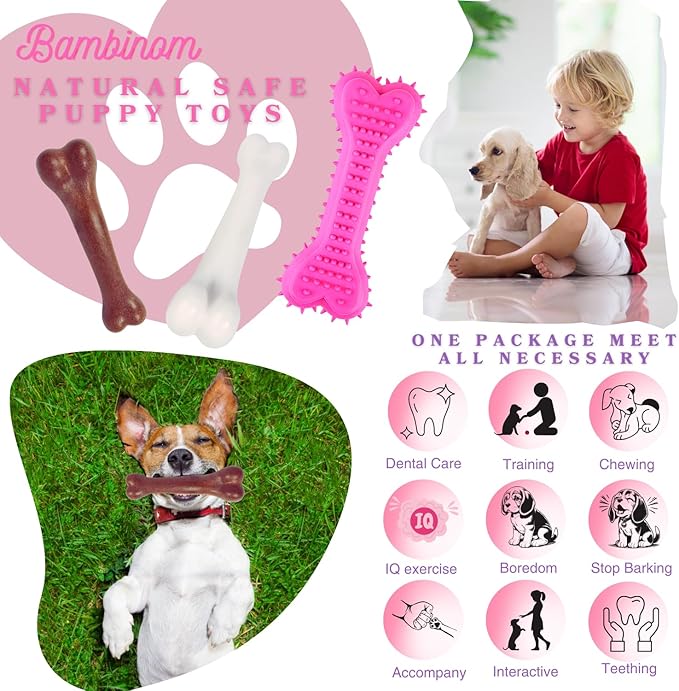 Durable Dog Bone Chew Toy for Small Breeds, Squeaky, Puppy Chew Bone, Supports Dental Health & Teething Relief, 4.5”, Pack of 3 for Small to Medium Dogs