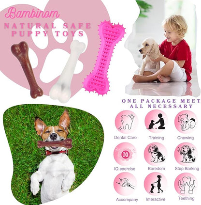 Durable Dog Bone Chew Toy for Small Breeds, Squeaky, Puppy Chew Bone, Supports Dental Health & Teething Relief, 4.5”, Pack of 3 for Small to Medium Dogs