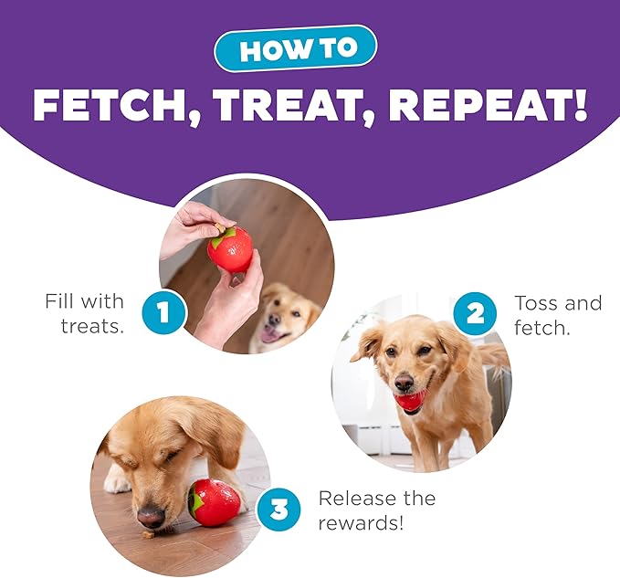 Outward Hound by Planet Dog Foodies Strawberry Treat-Dispensing Dog Chew Toy, Pink