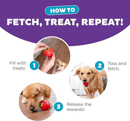 Outward Hound by Planet Dog Foodies Strawberry Treat-Dispensing Dog Chew Toy, Pink