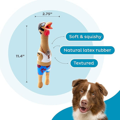 Outward Hound by Charming Pet Squawkers Earl Latex Squeaky Rubber Chicken Dog Toy,Funny Interactive Holiday Toy for Dogs,Large Size,(Pack of 2)