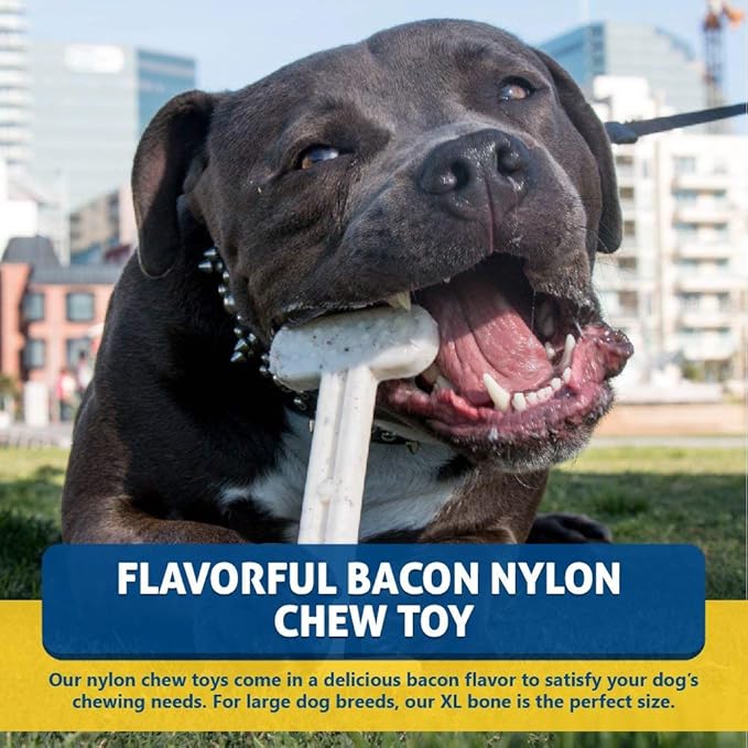 Bullibone Nylon Dog Chew Toy for Aggressive Chewers - Dental Hygiene Bone with Bacon Flavor, Durable Tough Chew Toys for Extra Large Dogs, Indestructible Dog Bone - Single