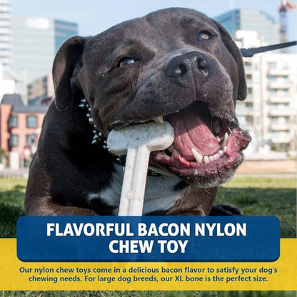 Bullibone Nylon Dog Chew Toy for Aggressive Chewers - Dental Hygiene Bone with Bacon Flavor, Durable Tough Chew Toys for Extra Large Dogs, Indestructible Dog Bone - Single
