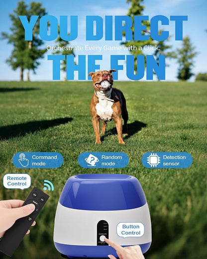 Automatic Ball Thrower for Dogs, Ball Launcher for Dogs - 2.5" Dog Balls * 6Pack (Blue)