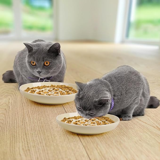 Slow Feeder Cat Bowl Set of 2, Ceramic Slow Feeding Cats Bowl Whisker Friendly, Anti Vomiting Cat Feeder for Dry and Wet Food，Fun Maze Interactive Bloat Stop Puzzle Bowls for Healthy Eating Diet