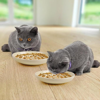 Slow Feeder Cat Bowl Set of 2, Ceramic Slow Feeding Cats Bowl Whisker Friendly, Anti Vomiting Cat Feeder for Dry and Wet Food，Fun Maze Interactive Bloat Stop Puzzle Bowls for Healthy Eating Diet