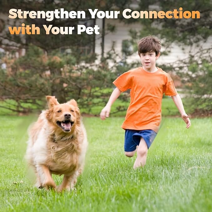 Pragmatist Outdoor Flirt Pole for Dog, Detachable Dog Flirt Pole Heavy Duty Sturdy Pet Toys for Outdoor Exercise & Training Durable Teaser Wand Interactive Toy for Small Medium Large Dogs, Black