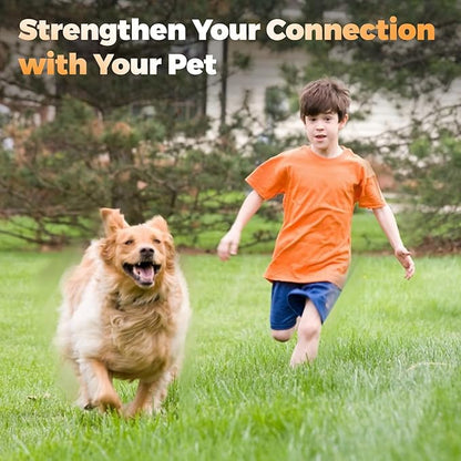 Pragmatist Outdoor Flirt Pole for Dog, Detachable Dog Flirt Pole Heavy Duty Sturdy Pet Toys for Outdoor Exercise & Training Durable Teaser Wand Interactive Toy for Small Medium Large Dogs, Black