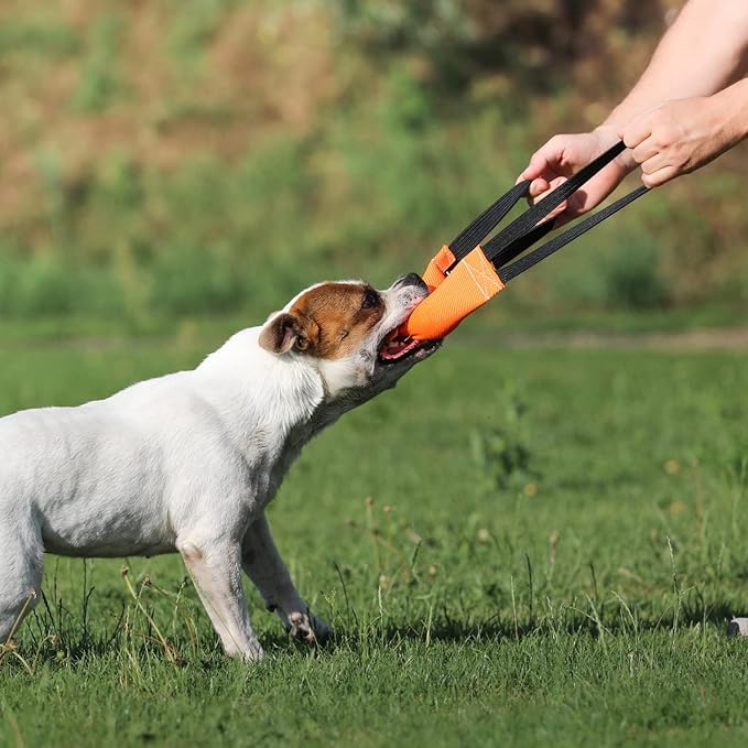Bungee Dog Bite Tug Toy with 2 Strong Handles - Made of Durable & Tear-Resistant Fire Hose - Perfect for Tug of War, Fetch & Puppy K9 Training - Ideal Pull Toy for Medium to Large Dogs, Orange