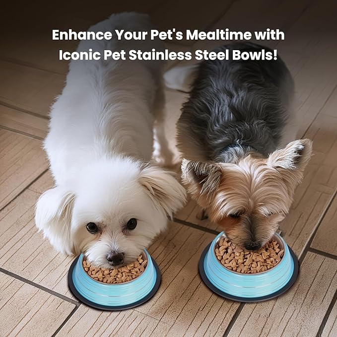 Iconic Pet Color Splash Stripe Non-Skid Stainless Steel Dog & Cat Bowl - Blue, 16 Oz, 2 Cup, Durable, Easy to Clean, Anti-Slip Feeding Dish for Food & Water, Stylish Design for Dogs and Cats