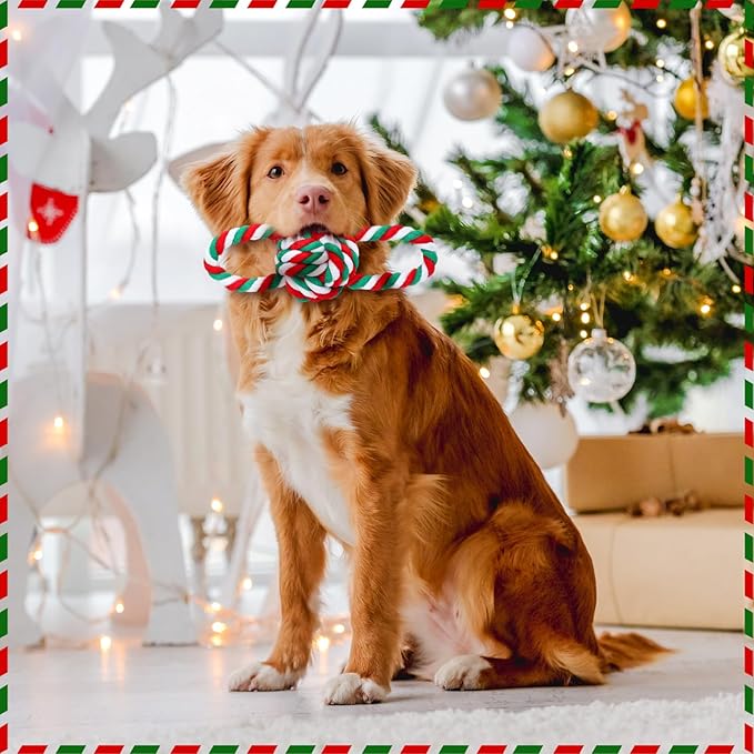 Zubebe 16 Pieces Christmas Dog Rope Toys Christmas Dog Chewing Toys Classic Interactive Toys for Christmas Large Medium Dogs Chewing Teething Cleaning and Training