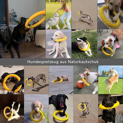 Dog Toys, Dog Chew Toys for Aggressive Chewers,Flying Discs for Medium/Large Breeds. Floating Dog Ring Toys for Throwing, Catching, Grabbing. (Large)