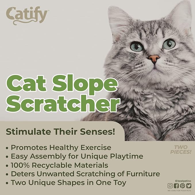 Best Pet Supplies Catify Cat Scratcher, Fun Interactive Scratchers, Posts, Poles, Claw Safe, Furniture Saver Indoor Play Support Natural Cat Behaviors Heavy Duty - Slope Scratcher (2 Pack), 19 x 9.5"