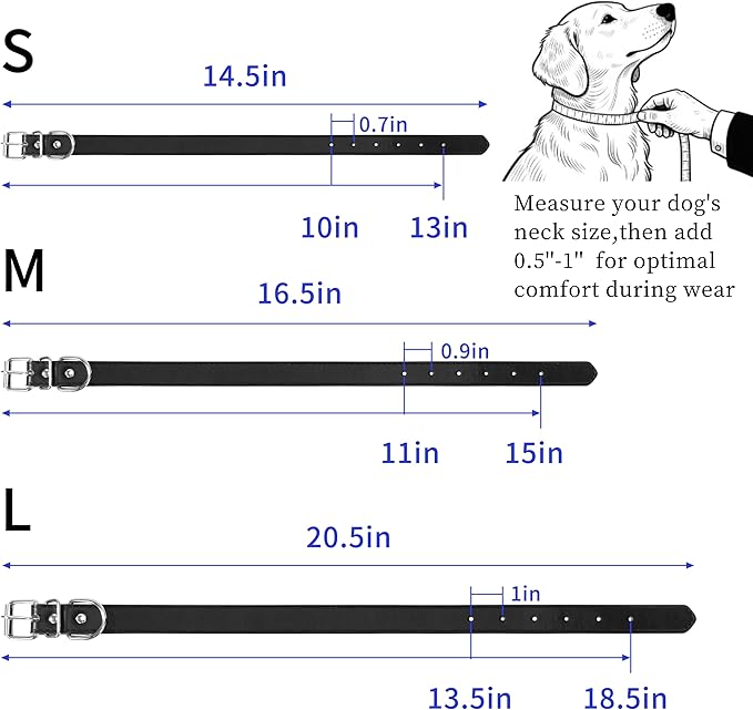 Blue Leather Dog Collar for Small,Medium, Large Dog, (Wide: 0.75'' for Dog's Neck: 10''~14'', Blue, M)