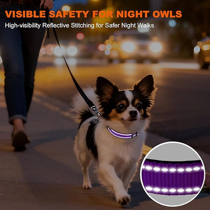Taglory Reflective Dog Collar with Safety Locking Buckle, Soft Neoprene Padded Dog Collar for Puppy Dogs, Metal D-Ring, Adjustable Nylon Neck Strap for Daily Walking, Training & Running, Purple, XS