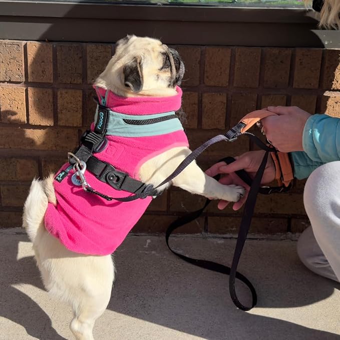 Gooby Wristband Surfer Leash with Traffic Handle - Black, 6 FT - Comfortable Handsfree Leash with Adjustable Dual Handle and Additional Hook