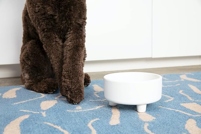 Waggo Uplift Ceramic Dog Bowl for Small Medium and Large Breeds - Heavyweight and Durable Pet Food and Water Dish Crock, Dishwasher Safe, Modern, Elevated Feeder (Medium, White)