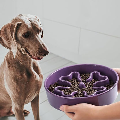 Slow Feeder,Ceramic-Slow Feeder Dog Bowls Elevated for Medium and Large Breed,3 Cups Slow Feed Dog Bowl with Stand,Purple