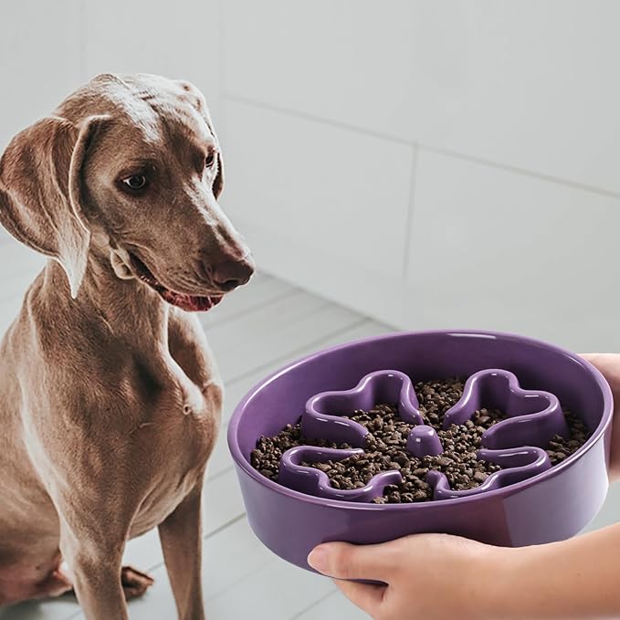Slow Feeder,Ceramic-Slow Feeder Dog Bowls Medium Breed,Puzzle Food Bowl Maze,2.5 Cups Slow Feed Dog Bowl for Medium Dogs,Purple