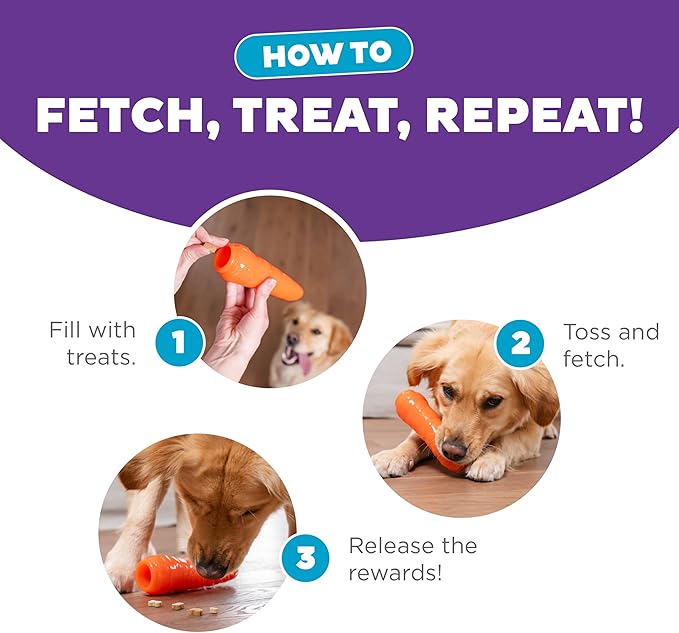 Outward Hound by Planet Dog Foodies Carrot Treat-Dispensing Dog Chew Toy, Orange