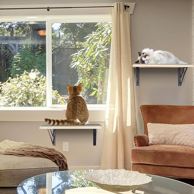 Burlywood Cat Furniture Indoor Set of 2: Wood Shelves with Scratching Pad, Climbing Shelf for Sleeping & Playing, Window Perch for Big Cats