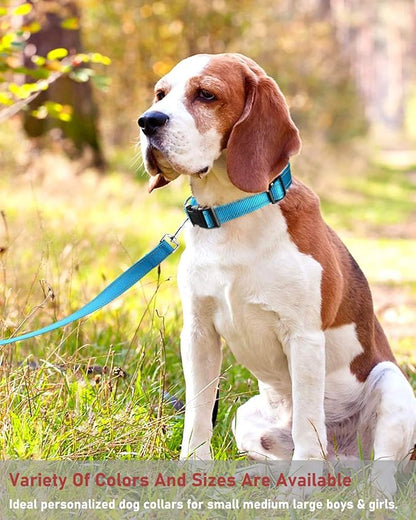 Reflective Dog Collar with Buckle Adjustable Safety Nylon Collars for Small Medium Large Dogs, Sky Blue XXS