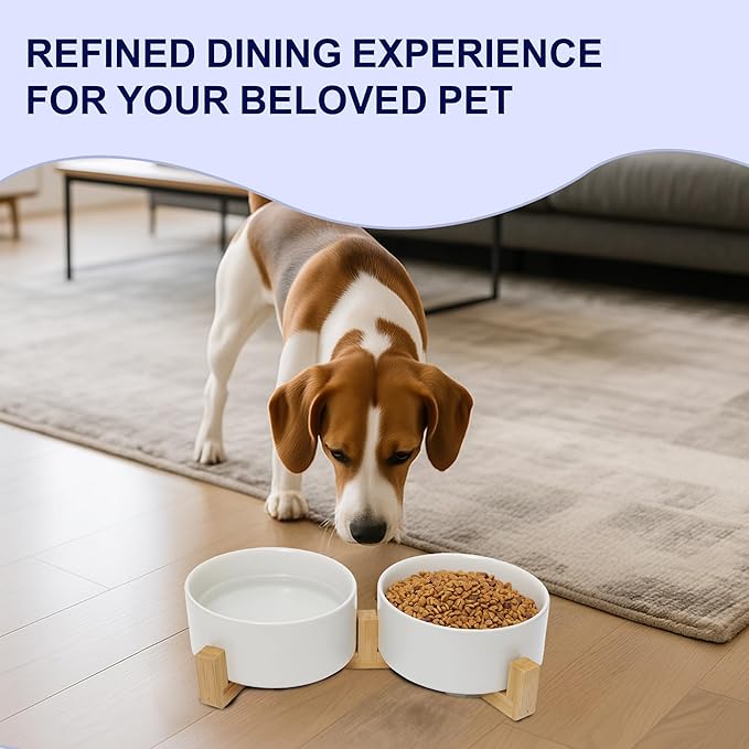 Dog Food Bowl, 28.7 oz Ceramic Modern Design, Dog Water and Food Bowl with Wood Stand, for Puppy & Cat, Non-Slip Feeding Station with Weighted Base, White