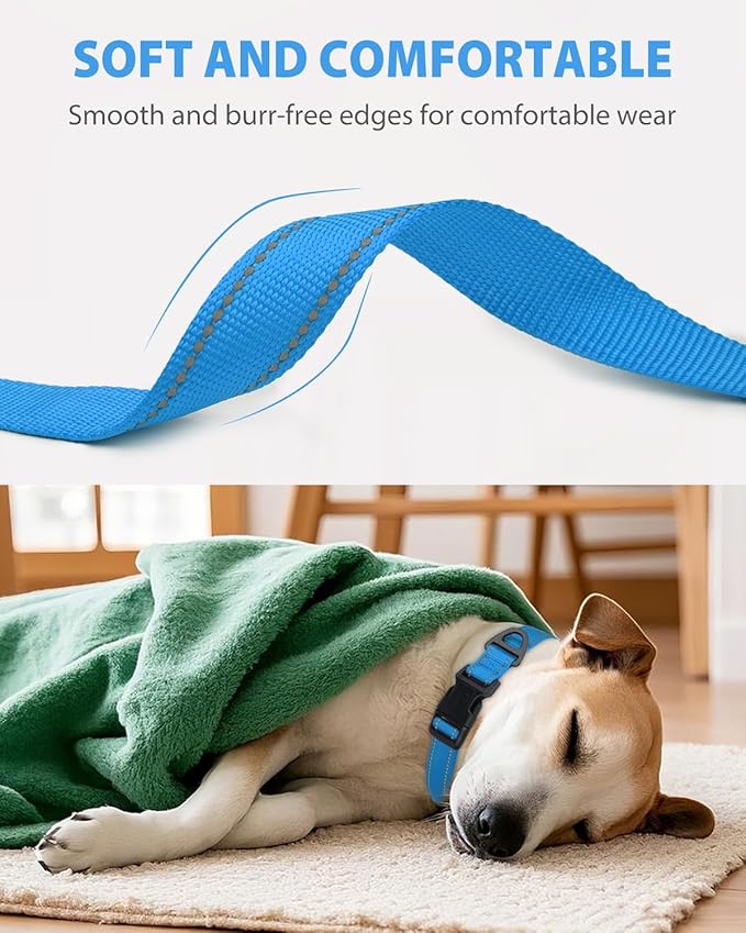 Joytale Dog Collars for Medium Dogs, Comfortable Double-Sided Reflective Nylon Collar for Night Safety, Adjustable Quick-Release for Active Pets, Sky Blue, M (1" Width)