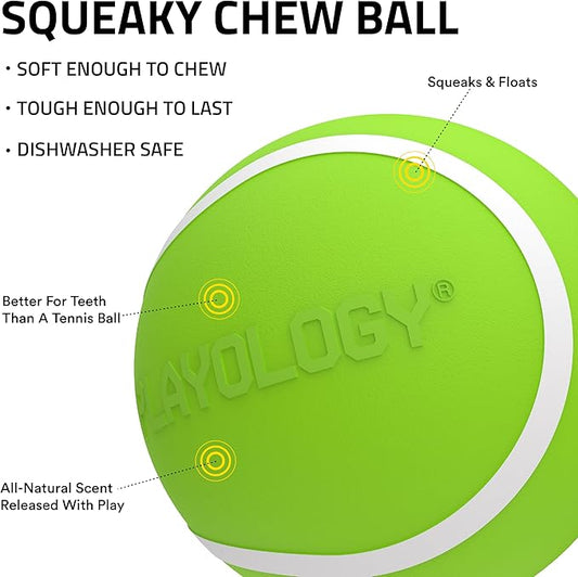 Playology Dog Toys | Squeaky Chew Ball - Bouncy Durable Floating Fetch Ball for Dogs | Medium Sweet Potato Scented Toy - Easy to Clean and Made from Non Toxic Materials