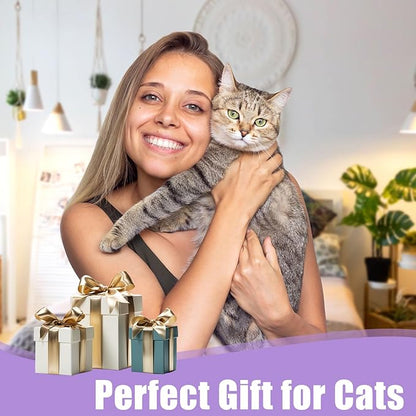 6 Pack Cat Toys, Catnip Toys for Cats, Cat Toys Interactive for Bored Indoor Adult Cats, Kittens, Kitty Exercise, Crinkle Sound