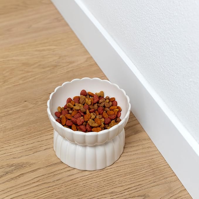 Fringe Studio Scalloped Ivory Medium Sculpted Raised Ceramic Feeder (6.5" Diameter x 4.5" H, 24 fl.oz.), PetShop Collection (450MD001)