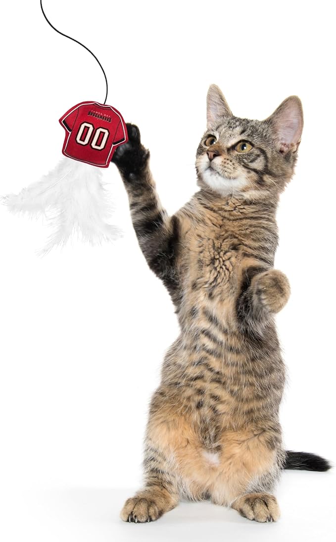 NFL Tampa Bay Buccaneers Team Jersey Wand with CAT NIP, Cat Toy Jersey Shaped Plush Teaser Toy for Cats & Kittens - Interactive Pet Toy for Play & Exercise