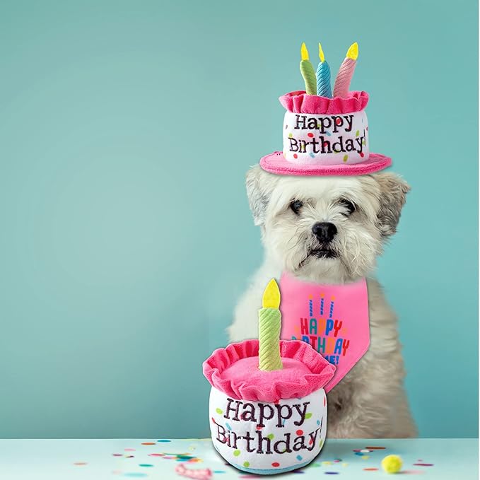 Dog Birthday Cake Toys, Happy Birthday Cake Shaped Squeaky Dog Toys for Small & Medium Dogs | Funny Dogs Gifts | Plush Dog Party Toys, Small, Pink